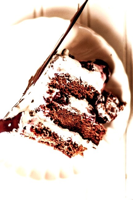Swiss Black Forest Cake The Novice Housewife
